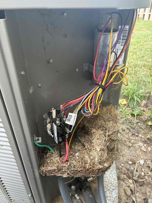 Completed preventive maintenance cooling visit on 7-year-old residential HVAC system. Discovered significant accumulation of grass clippings, plant matter, and debris inside outdoor condensing unit that had built up around electrical components, contactor relay, and wiring. Removed all debris from unit interior to prevent potential electrical issues and ensure proper airflow. Inspected indoor Lennox furnace and air handler system, verified all connections and components functioning properly. Unit restored to optimal operating condition with improved airflow and reduced fire hazard risk from accumulated organic material.