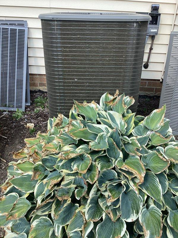 Completed comprehensive AC tune-up on 2-year-old residential cooling system under MVP membership plan. Performed standard maintenance procedures including inspection of outdoor condenser unit, verification of electrical connections and capacitor operation, and assessment of all major components. Unit found operating within normal parameters with no issues identified; system ready for continued seasonal operation.