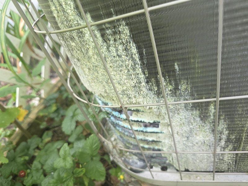 Responded to service call for non-operational central air conditioning system at recently purchased residence. Upon arrival, inspected outdoor condenser unit (Model PA13NA024-B, Serial 2013XG1858) and found unit surrounded by protective wire mesh cage with significant biological growth and mold accumulation on exterior cabinet panels. Performed diagnostic testing to identify cause of system failure, checked electrical connections, verified thermostat communication, and assessed condenser coil condition. Unit required attention due to extended period of inactivity prior to homeowner occupancy. Successfully restored system to operational status and confirmed proper cooling cycle initiation.