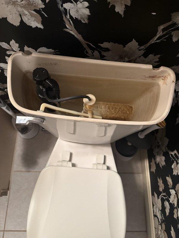 Responded to customer report of continuous hissing noise from toilet valve. Upon arrival, removed tank lid and inspected internal components. Identified fill valve as source of hissing sound. Examined flush valve assembly, float mechanism, and fill valve operation. Tank interior showed mineral deposits and discoloration indicating age of components. Diagnosed faulty fill valve causing constant water flow and noise issue. Completed diagnostic assessment and documented conditions with photos for customer review.