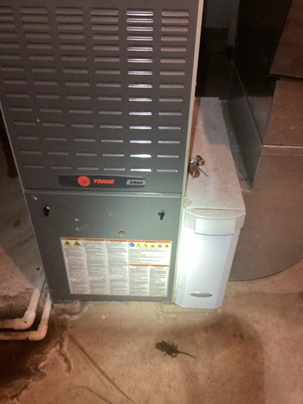 Performed preventative maintenance on 13-year-old Trane XV95 furnace system. Inspected all major components, tested system operation, and documented equipment condition with diagnostic measurements. Notable accumulation of mineral deposits observed on ductwork surfaces, indicating potential condensation or humidity concerns that should be monitored during future service visits.