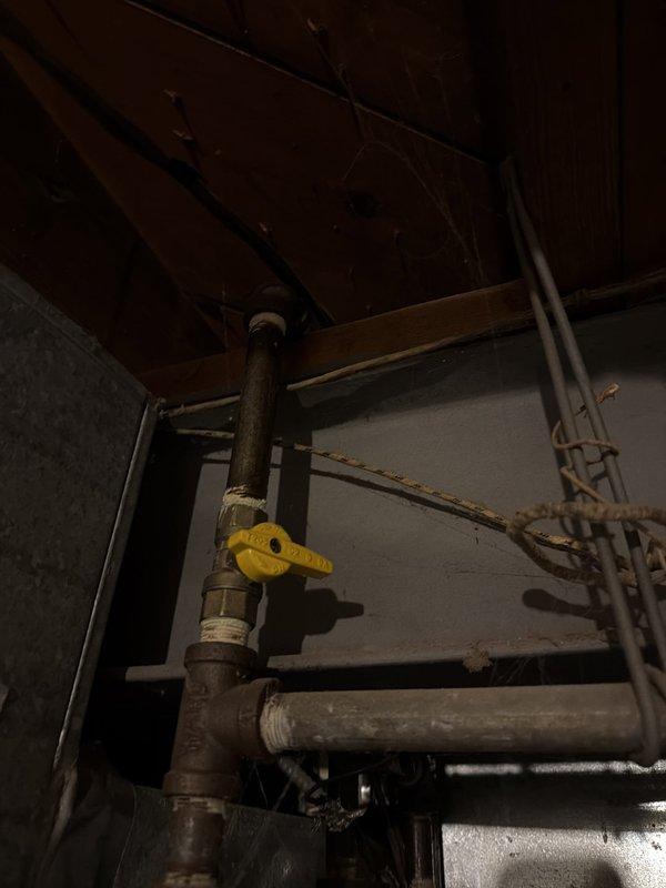 Responded to service call for emergency gas shutoff to exterior gas lamp due to wasp nest hazard. Located and operated main gas shutoff valve in basement utility area to isolate gas supply to outdoor fixture. Confirmed valve operation and verified gas flow was successfully terminated to allow safe pest removal. Gas supply system secured and customer advised on restart procedures once exterior work completed.
