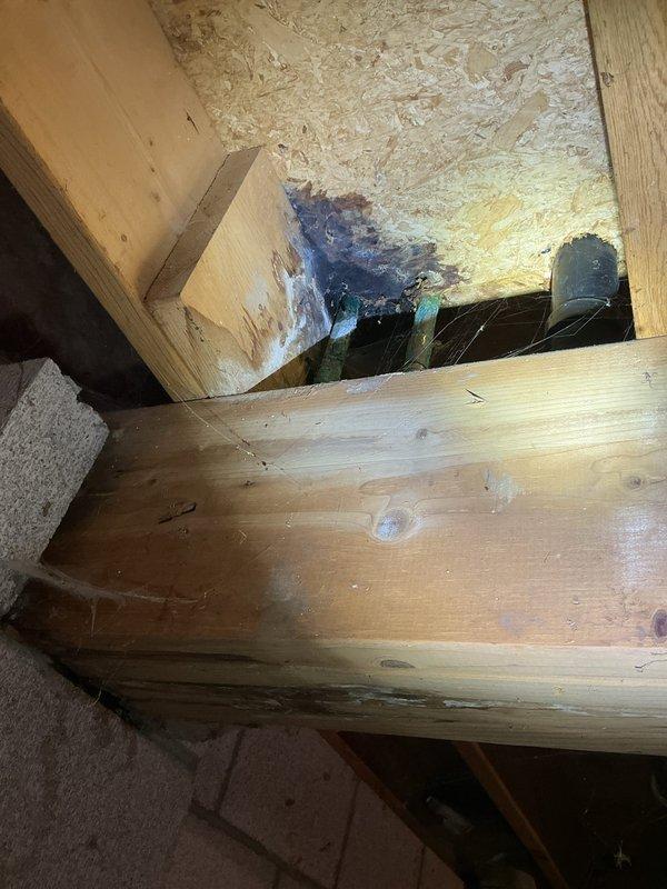 Responded to water leak complaint affecting multiple floors of residence. Upon inspection, identified corroded fitting on 5-year-old water heater in basement area. Documented corrosion damage with photographs showing deteriorated brass connections at copper supply lines with blue-handled shutoff valves. 

Traced active leak along vertical water line running from basement through to second story. Located water damage and staining on OSB sheathing in upper level, indicating prolonged moisture intrusion from compromised piping. Photographed evidence of water penetration showing characteristic blue-purple discoloration pattern on wall surfaces near plumbing chase.

Performed diagnostic evaluation of entire vertical supply line system including inspection of exposed copper piping, fittings, and valve assemblies in basement mechanical area. Assessed condition of connections at water heater and identified need for fitting replacement due to advanced corrosion. Recommended repairs to compromis