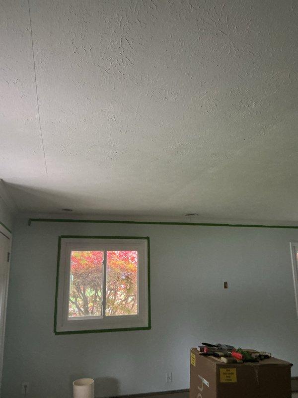 Provided free second opinion quote for ceiling fan installation in family room. Assessed existing electrical infrastructure and mounting location to determine installation requirements. Room was in active renovation phase with painting preparation in progress.