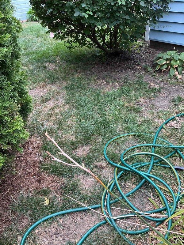 Conducted comprehensive site assessment for residential backup generator installation. Evaluated existing electrical infrastructure and identified optimal placement location in side yard area considering clearance requirements from structure, accessibility for maintenance, and proximity to existing electrical service panel. Documented site conditions including landscaping constraints, foundation clearances, and utility routing considerations. Assessed fuel source options and determined connection pathway for natural gas or propane supply line. Verified adequate space for required generator pad installation and compliance with local setback regulations. Photographed proposed installation area and surrounding conditions to support material specifications and labor estimates for complete automatic standby generator system installation including transfer switch integration.