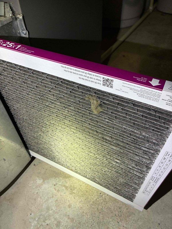Completed routine MVP cooling maintenance visit on a 4-year-old HVAC system. Inspected and replaced the 16x20x1 pleated air filter, which showed accumulated debris and dust from normal operation. Verified proper system operation and airflow following filter replacement.