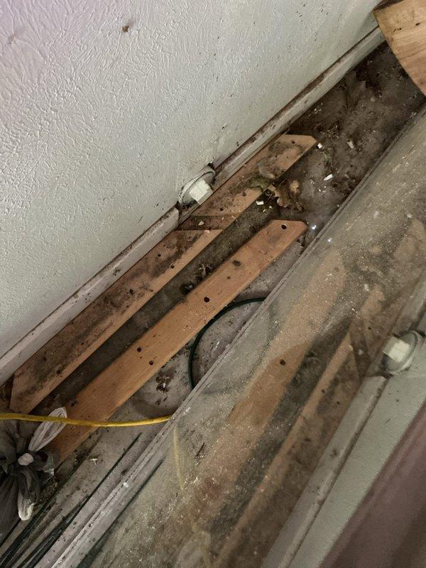 Responded to recurring sewer backup issue occurring every 2-3 months. Performed main drain cleanout service to clear blockage and restore proper drainage flow. Inspected accessible plumbing infrastructure and cleanout access points to identify potential causes of repeated backups.