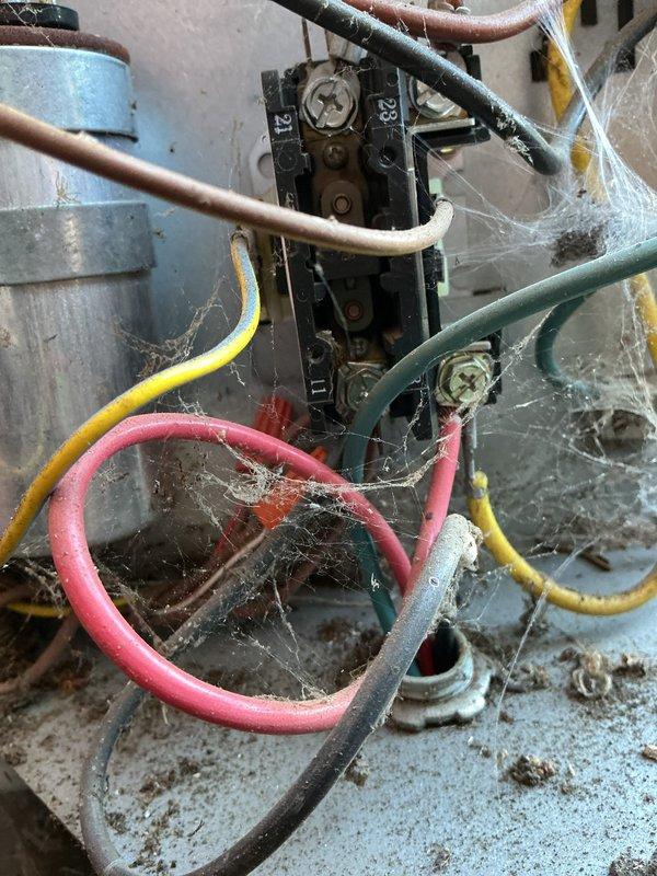 Responded to service call for air conditioning system not performing adequately. Upon arrival, performed maintenance visit protocol and system condition assessment. Inspected outdoor condenser unit located against building exterior, noting vegetation overgrowth around base requiring clearance for proper airflow. Examined electrical components and discovered significant spider web accumulation on terminal connections, wiring, and capacitor assembly, which can impede electrical connections and system performance. Cleaned electrical panel, removed debris and cobwebs from terminal block and wire connections, and verified all electrical connections were secure. Cleared vegetation from around condenser unit to restore proper airflow and prevent future airflow restrictions. System operational following cleaning and maintenance procedures.