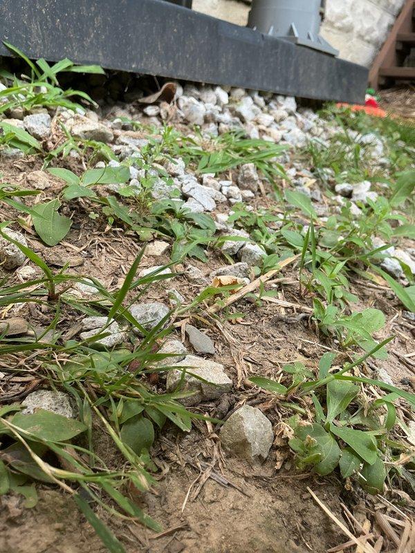 Responded to service call regarding unstable outdoor condenser unit installation. Upon arrival, found Mitsubishi Electric air conditioning condenser improperly leveled on composite pad with inadequate support. Unit was leaning significantly due to settling of ground surface and insufficient base preparation beneath equipment pad. Inspected installation site and identified issues with pad placement on uneven substrate consisting of mixed soil, gravel, and vegetation. Repositioned and leveled condenser unit on existing composite pad, ensuring proper stability and secure mounting. Verified refrigerant lines and electrical conduit connections remained intact and undamaged. Confirmed unit operation and structural stability upon completion.