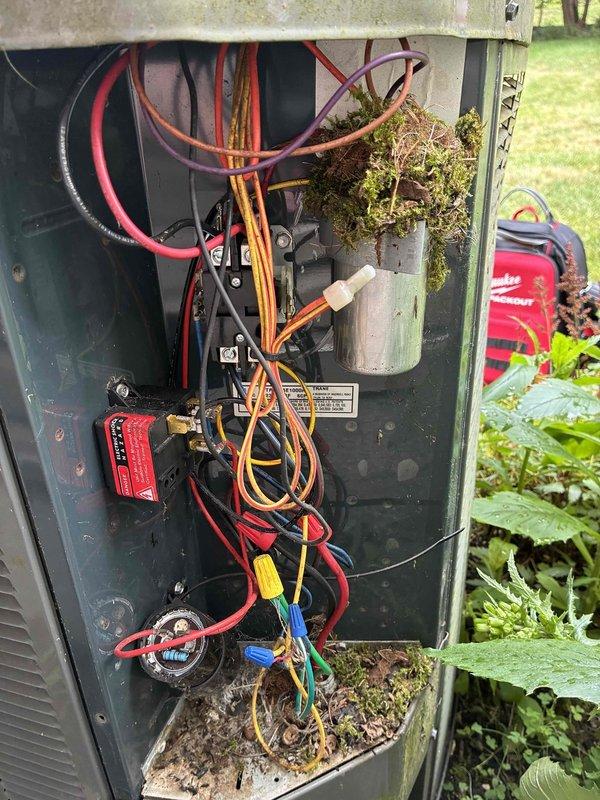 Completed MVP recurring cooling maintenance visit on 11-year-old system. Upon inspection, discovered extensive moss and organic growth throughout the outdoor unit's electrical compartment and on critical components, including the capacitor. The biological accumulation indicated prolonged moisture exposure and compromised weatherproofing of the electrical panel. Performed diagnostic testing with electrical meters to verify system operation and component functionality. Documented the significant environmental deterioration affecting both the electrical enclosure and internal components, which poses potential risks to system reliability and electrical safety. The organic growth on wiring connections and capacitor surfaces requires attention to prevent future electrical failures and maintain proper system operation.