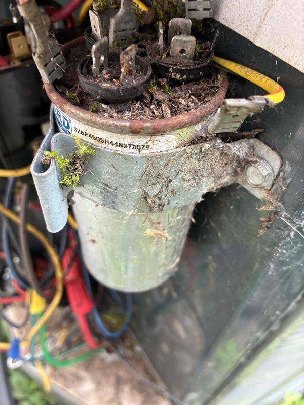 Completed MVP recurring cooling maintenance visit on 11-year-old system. Upon inspection, discovered extensive moss and organic growth throughout the outdoor unit's electrical compartment and on critical components, including the capacitor. The biological accumulation indicated prolonged moisture exposure and compromised weatherproofing of the electrical panel. Performed diagnostic testing with electrical meters to verify system operation and component functionality. Documented the significant environmental deterioration affecting both the electrical enclosure and internal components, which poses potential risks to system reliability and electrical safety. The organic growth on wiring connections and capacitor surfaces requires attention to prevent future electrical failures and maintain proper system operation.