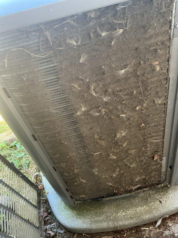 Completed MVP cooling maintenance visit on 10-year-old system. Upon arrival, found outdoor condenser unit with heavily soiled condenser coil exhibiting significant debris accumulation including dirt, dust, plant materials, seed pods, and dried grass fragments restricting airflow through fins. Performed thorough cleaning of condenser coil to restore proper heat exchange efficiency and airflow. Documented unit condition with photos showing before state and installation environment. System operational upon completion of maintenance service.