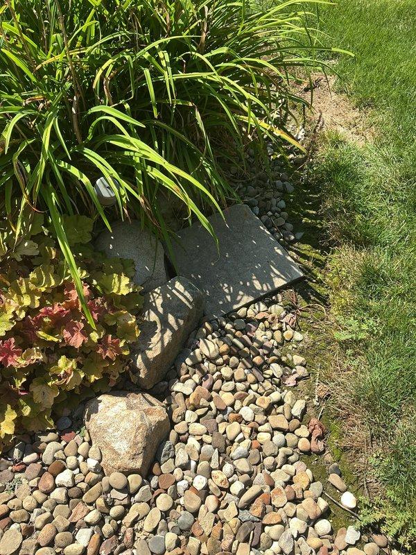 Responded to main line blockage with minor backup in 1954-built residence. Successfully cleared main drain line obstruction using professional drain cleaning equipment. Accessed cleanout point in utility room, removed blockage, and restored proper drainage flow throughout the main sewer line. Tested system to confirm full functionality and proper drainage with no remaining restrictions.