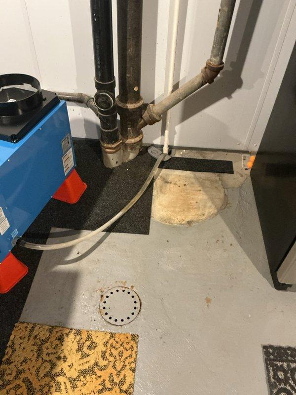 Responded to main line blockage with minor backup in 1954-built residence. Successfully cleared main drain line obstruction using professional drain cleaning equipment. Accessed cleanout point in utility room, removed blockage, and restored proper drainage flow throughout the main sewer line. Tested system to confirm full functionality and proper drainage with no remaining restrictions.
