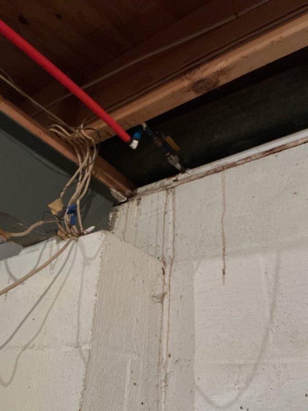 Replaced outdoor water spigot at exterior foundation of residence. Removed deteriorated existing hose bib and installed new frost-free sillcock with proper mounting and sealing to prevent water intrusion. Verified proper operation and absence of leaks upon completion.