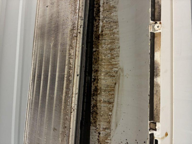 Responded to recurring refrigerant leak on mini split system that was previously addressed. Upon inspection, discovered significant mold growth and contamination on evaporator coil and interior cabinet surfaces, with visible brown and black discoloration indicating moisture intrusion. Documented extensive biological growth on mounting surfaces and deteriorated conditions around heat exchanger components, confirming ongoing water leak issue causing damage to internal components and requiring immediate remediation.