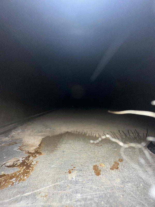 Completed comprehensive duct cleaning service for residential HVAC system covering up to 14 vents. Accessed and cleaned main trunk lines and branch ducts, removing accumulated dust, debris, and contaminants from interior surfaces. Inspected attic-mounted ductwork and flexible duct connections, documenting pre-existing conditions including surface discoloration on insulation materials and general wear patterns consistent with normal system operation.