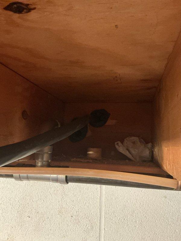 Performed follow-up service on recently installed generator to address unsealed wire penetrations that could allow pest entry. Inspected installation areas and identified multiple openings where electrical conduit and wiring entered the structure. Sealed all accessible wire penetration points with appropriate materials to prevent rodent intrusion while maintaining proper ventilation and code compliance for generator operation.