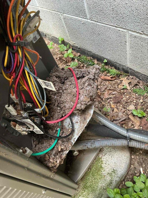 Responded to service call for 2018 Lennox system with non-operational outdoor unit while indoor unit continued running but providing insufficient cooling to residence. Upon arrival, performed diagnostic assessment of outdoor condenser unit and discovered heavily soiled evaporator coil with significant accumulation of dirt, dust, and debris restricting airflow. Opened access panel and documented condition of coil surface showing thick, uniform buildup that had developed over extended period. Utilized multimeter and testing equipment to verify electrical connections and system functionality at outdoor disconnect and control panel. Inspected wiring harness, terminals, and electrical components for proper operation. Noted vegetation growth in close proximity to unit and natural debris accumulation around equipment. Assessed flexible conduit lines and overall installation condition during troubleshooting process.