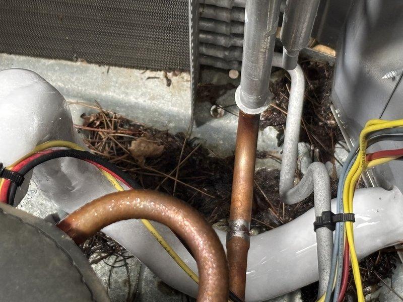 Responded to service call for two non-functioning HVAC systems in multi-story residence. Upon inspection, found third floor unit experiencing excessive condensation with no cold air output, while second floor unit ran continuously but maintained cold air flow. Examined outdoor condensate drainage system and identified debris accumulation in mechanical compartment including twigs, dried grass, and organic material obstructing proper airflow and drainage around copper refrigerant lines and PVC condensate trap assembly. Cleared debris from unit interior, inspected insulated refrigerant lines and electrical connections, and verified proper condensate drain operation to resolve water leak issue.