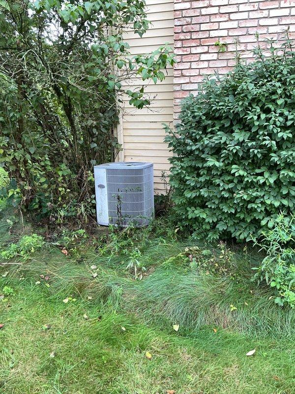 Responded to no cooling complaint on residential AC system. Upon arrival, found outdoor condensing unit heavily obstructed by overgrown vegetation, weeds, and vines restricting airflow to condenser coil. Cleared vegetation from around unit perimeter and removed debris blocking air intake grille to restore proper system ventilation and operation.