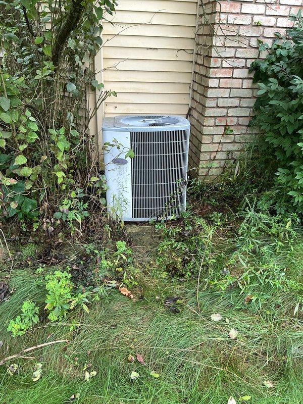 Responded to no cooling complaint on residential AC system. Upon arrival, found outdoor condensing unit heavily obstructed by overgrown vegetation, weeds, and vines restricting airflow to condenser coil. Cleared vegetation from around unit perimeter and removed debris blocking air intake grille to restore proper system ventilation and operation.
