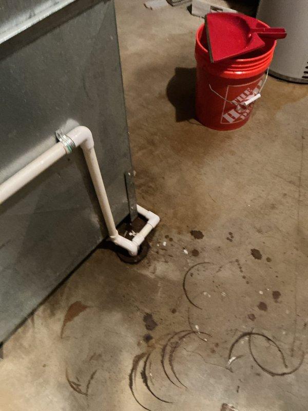 Responded to recurring drainage backup issue affecting multiple fixtures. Upon arrival, confirmed active backup conditions where second-floor shower usage caused first-floor bathroom and utility room floor drain to back up simultaneously. Investigated drainage system connections and flow patterns between floors. Inspected utility room floor drain showing evidence of previous water accumulation based on staining patterns around drain opening. Assessed plumbing configuration including PVC drainage lines and floor drain connections. Documented existing conditions with photographs showing water stain patterns on utility room concrete floor and affected first-floor bathroom fixtures. This represents a follow-up visit for the same drainage concern previously addressed, indicating potential underlying main line obstruction or venting issue requiring further diagnostic evaluation of the vertical drainage stack and branch line connections serving the multi-level plumbing system.