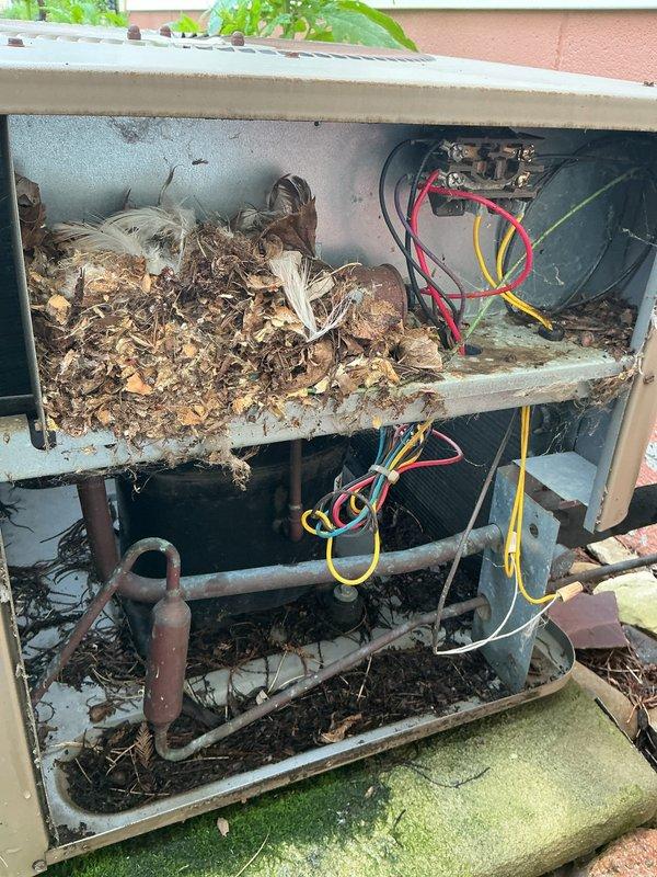 # HVAC Service Completed

Responded to no-cooling complaint on 10+ year old residential air conditioning system. Upon arrival, performed visual inspection of outdoor condensing unit and discovered severe neglect and environmental damage affecting system operation.

Found outdoor unit completely overgrown with vegetation at base, restricting airflow to lower intake areas. Removed access panels and discovered extensive accumulation of leaves, twigs, and decomposed organic debris throughout interior compartments. Debris had infiltrated both upper and lower sections of unit, blocking critical airflow pathways and covering electrical components and mechanical parts.

Observed significant deterioration of unit cabinet with advanced corrosion on metal frame and evidence of algae/mold growth on bottom sections due to prolonged moisture exposure. Electrical wiring remained intact but was obscured by debris. Compressor motor housing and connections showed weathering consistent with age and envir