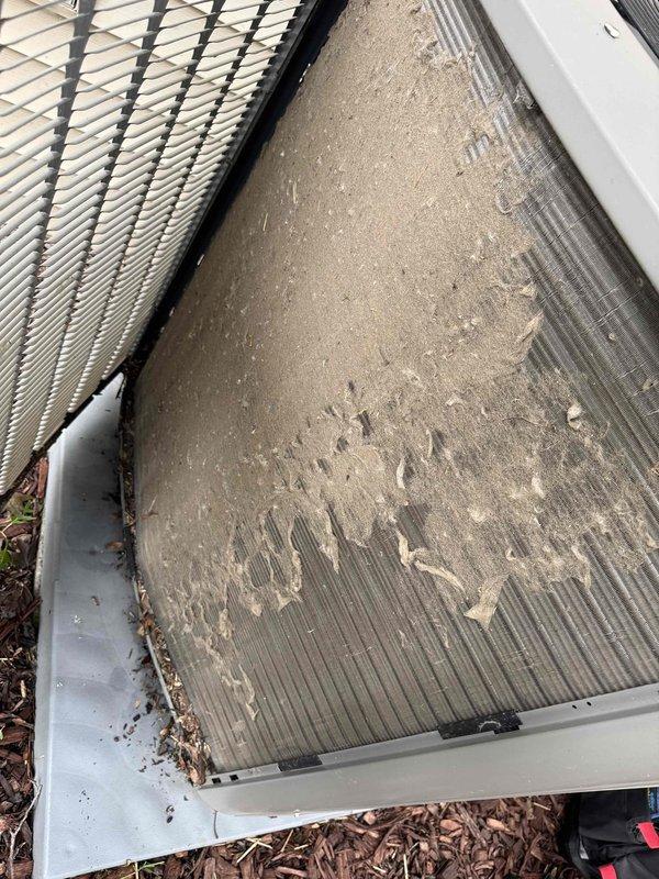 Completed MVP Cooling Visit performing routine maintenance on outdoor condensing unit. Inspected interior components including evaporator coil, insulation panels, and heat exchanger which showed moderate accumulation of organic debris including leaves, twigs, and plant matter lodged between fins. Cleaned condenser coils which displayed significant buildup of dirt, dust, and outdoor debris with visible streaking patterns on aluminum fins. Removed mulch and ground debris from unit base and surrounding areas. All components inspected and system operational upon completion.