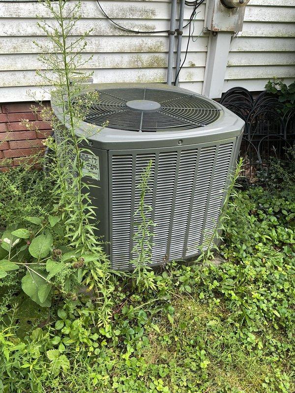 Completed MVP cooling maintenance visit on 13-year-old Lennox HVAC system. Performed standard preventive maintenance procedures on both indoor furnace unit located in basement and outdoor condenser unit. Outdoor condenser required vegetation clearance, as significant plant growth and weeds had encroached around the unit, partially obstructing airflow through the louvered vents. Cleared vegetation from perimeter of condenser to restore proper clearance and ensure adequate airflow for efficient operation. Inspected indoor furnace cabinet, PVC condensate drainage system, and associated ductwork connections. System operational at time of departure.