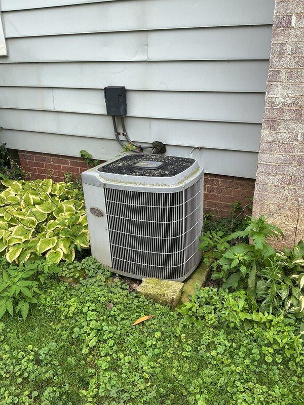Completed MVP cooling maintenance visit on a 24-year-old residential HVAC system. Performed comprehensive inspection of both indoor furnace unit and outdoor condensing unit, verified proper operation of all components, checked refrigerant levels, cleaned condenser coils, and confirmed adequate drainage through condensate lines. System operating within normal parameters with all safety controls functioning correctly.