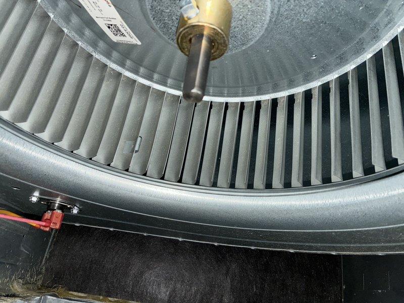 Completed MVP cooling maintenance visit on 4-year-old system. Inspected blower assembly and found dust accumulation on squirrel cage blower wheel blades, which is consistent with normal operational use. Examined dual fuse holder assembly with 250V rated fuses and verified electrical protection components were functioning properly.