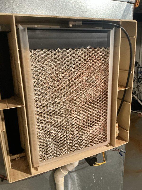 Completed seasonal tune-up on evaporative cooling system, including inspection of cellulose media pads which showed normal mineral deposits and discoloration from use. Verified electrical system operation with amp draw reading of 183A on main circuit, confirming proper motor and component function within manufacturer specifications.