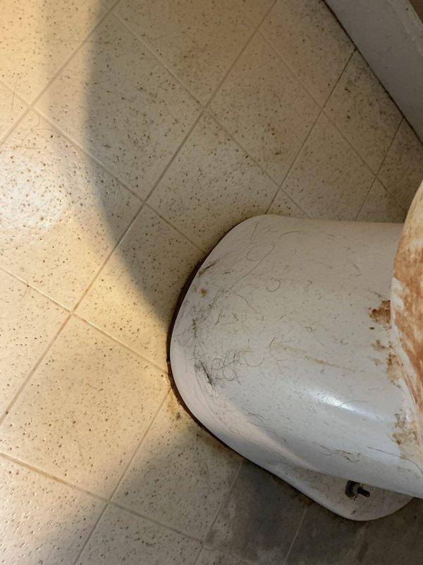 Responded to service call for toilet replacement on main floor. Upon arrival, inspected existing two-piece toilet with visible wear, discoloration, and rust staining on tank exterior. Assessed surrounding plumbing connections and water supply line for compatibility with new fixture installation. Removed old toilet unit by disconnecting water supply, draining tank and bowl, and unbolting from floor flange. Cleaned and inspected wax ring seal and closet flange for damage or deterioration. Installed new two-piece toilet with elongated bowl, ensuring proper alignment with floor flange and secure mounting. Applied new wax ring seal, connected water supply line with chrome shut-off valve, and tested for proper flush operation and leak-free connections. Verified adequate water flow and refill cycle. Caulked base perimeter to floor tile for stability and moisture protection. Conducted final inspection confirming fixture operates correctly with no leaks at supply connection or base seal. Left w