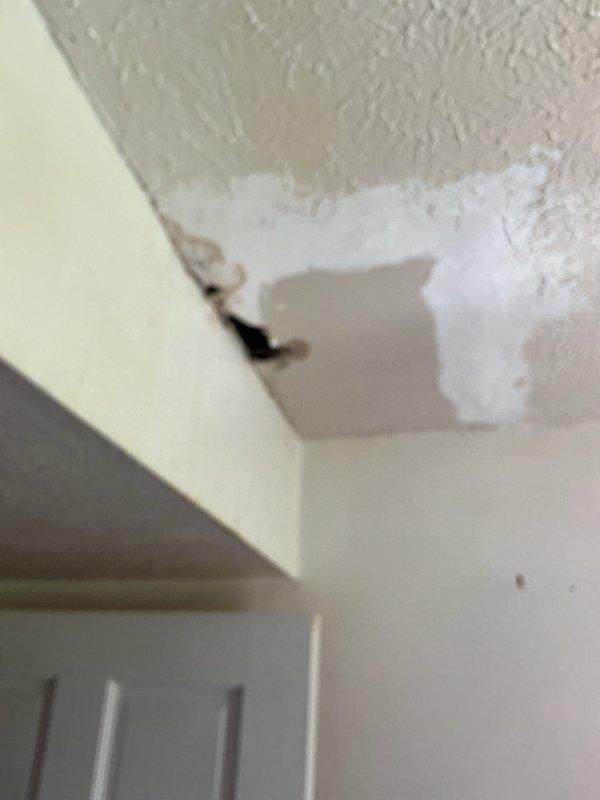 Responded to service call for toilet leaking from base onto floor below. Upon inspection, identified water seepage at toilet base causing damage to ceiling in room below, evidenced by cracking and separation at wall-ceiling junction. Documented existing conditions with photographs showing toilet installation and resulting water damage to lower level ceiling structure.