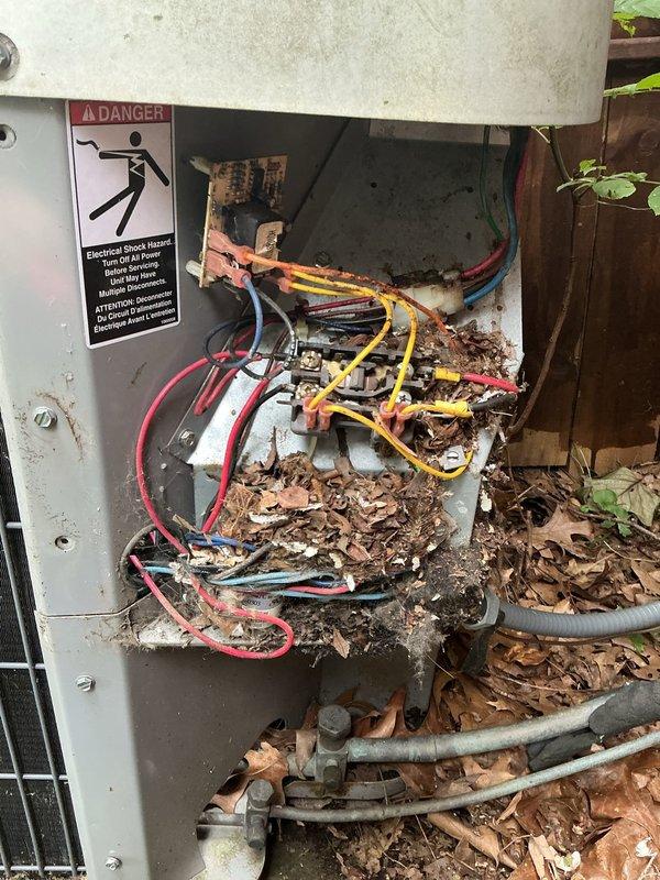 Responded to no cooling call on 24-year-old air conditioning system. Upon inspection, found outdoor unit's electrical compartment heavily contaminated with dried leaves, twigs, and organic debris accumulated around wiring and internal components. Observed significant rust and corrosion on electrical connections, terminals, and metal surfaces throughout junction box and connection panel. Documented severe deterioration of equipment due to age and lack of maintenance, with debris creating potential fire hazard and interfering with proper electrical connections. Given the advanced age of the unit (24 years, well beyond typical 15-year lifespan) and extensive corrosion damage to critical electrical components, recommended full system replacement rather than repair. Explained to customer that attempting repairs on equipment in this condition would not be cost-effective and could pose safety concerns due to compromised electrical connections and structural integrity of components.