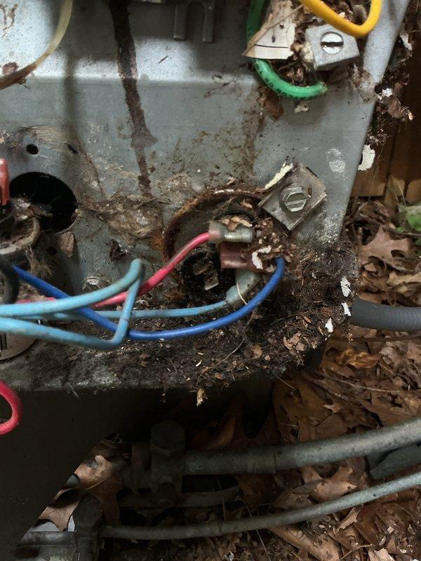 Responded to no cooling call on 24-year-old air conditioning system. Upon inspection, found outdoor unit's electrical compartment heavily contaminated with dried leaves, twigs, and organic debris accumulated around wiring and internal components. Observed significant rust and corrosion on electrical connections, terminals, and metal surfaces throughout junction box and connection panel. Documented severe deterioration of equipment due to age and lack of maintenance, with debris creating potential fire hazard and interfering with proper electrical connections. Given the advanced age of the unit (24 years, well beyond typical 15-year lifespan) and extensive corrosion damage to critical electrical components, recommended full system replacement rather than repair. Explained to customer that attempting repairs on equipment in this condition would not be cost-effective and could pose safety concerns due to compromised electrical connections and structural integrity of components.
