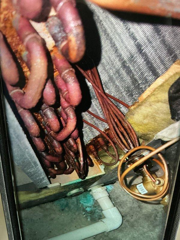 Completed scheduled MVP cooling maintenance visit. Inspected refrigeration lines showing oxidation and patina buildup on copper tubing, photographed for documentation purposes. Examined control board assembly and verified proper wiring connections throughout electrical cabinet, confirmed all electronic components and safety labels intact and system operational.