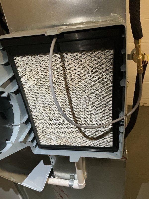 Completed MVP recurring cooling maintenance visit on residential HVAC system. Inspected outdoor condenser unit, noting significant debris accumulation on protective mesh screen and general weathering of exterior surfaces. Accessed indoor air handler unit and examined evaporator coil assembly, which showed clean condition with clearly visible mesh pattern and properly positioned refrigerant lines across the coil surface. Verified blower assembly and internal components were functioning properly with no immediate concerns noted.