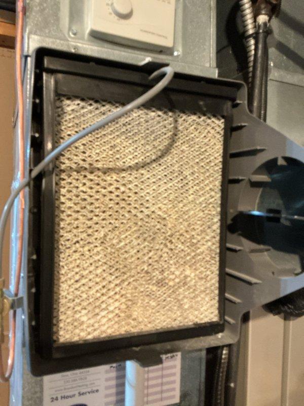 Performed comprehensive AC tune-up service on Carrier outdoor condensing unit located in wooded area with heavy leaf and debris accumulation. Cleaned condenser coil, fan assembly, and exterior housing which showed weathering and algae growth on front grille. Inspected indoor evaporator coil and air filter assembly, noting dust accumulation on mesh filter pad within air handler unit. Cleared leaves, rocks, and organic debris from around unit base and concrete pad to ensure proper airflow and drainage. System operational with no reported issues; routine maintenance completed to maintain efficiency and prevent future problems.