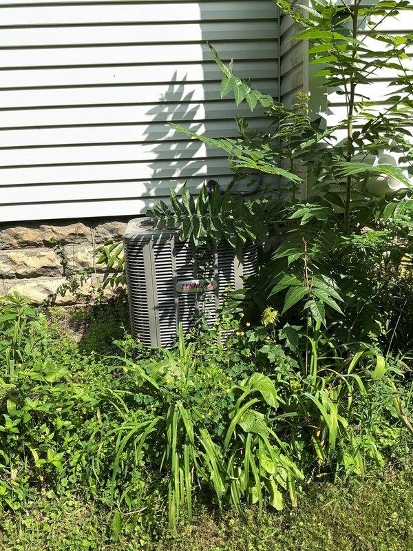 Completed MVP cooling maintenance visit on Trane outdoor condenser unit. Noted significant vegetation overgrowth restricting airflow around unit perimeter, which can reduce efficiency and cause premature equipment failure. Inspected indoor furnace system and verified proper operation of all components, including burner assembly, control mechanisms, and PVC venting configuration. Documented equipment conditions with photos for service records.