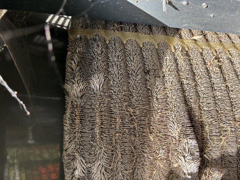 Completed maintenance visit on 10-year-old air conditioning system. Inspected evaporator coil and blower assembly, documenting substantial dust and debris accumulation on coil fins and light soiling on blower wheel blades, which can reduce system efficiency and airflow if not addressed during regular maintenance intervals.