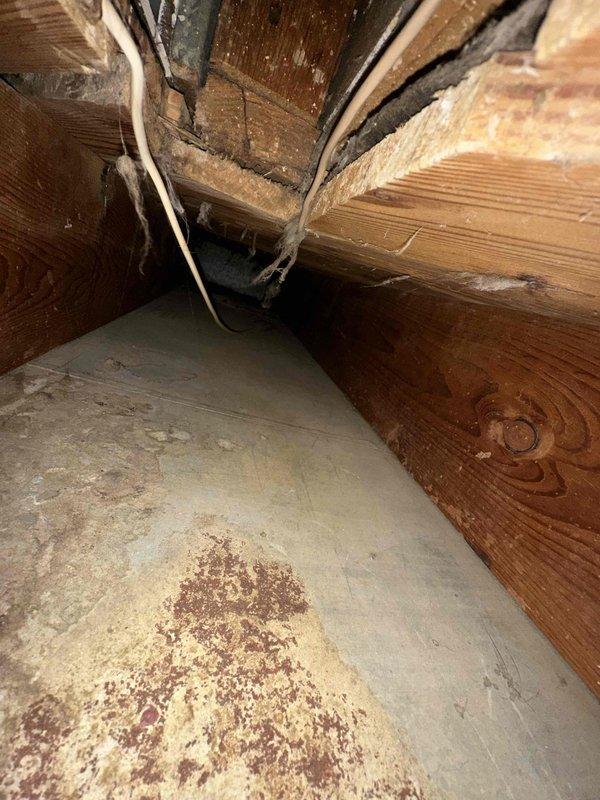 Completed comprehensive duct cleaning service for residential system with 14 vents. Accessed crawl space areas to thoroughly clean ductwork, removing accumulated dust, debris, and contaminants from supply and return lines. Documented pre-existing conditions including moisture staining on crawl space flooring and exposed structural elements to ensure complete system assessment.