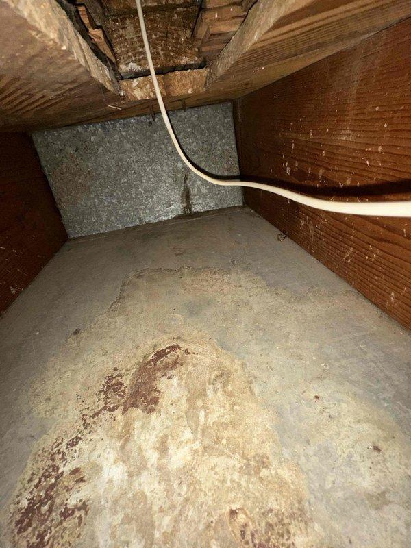 Completed comprehensive duct cleaning service for residential system with 14 vents. Accessed crawl space areas to thoroughly clean ductwork, removing accumulated dust, debris, and contaminants from supply and return lines. Documented pre-existing conditions including moisture staining on crawl space flooring and exposed structural elements to ensure complete system assessment.