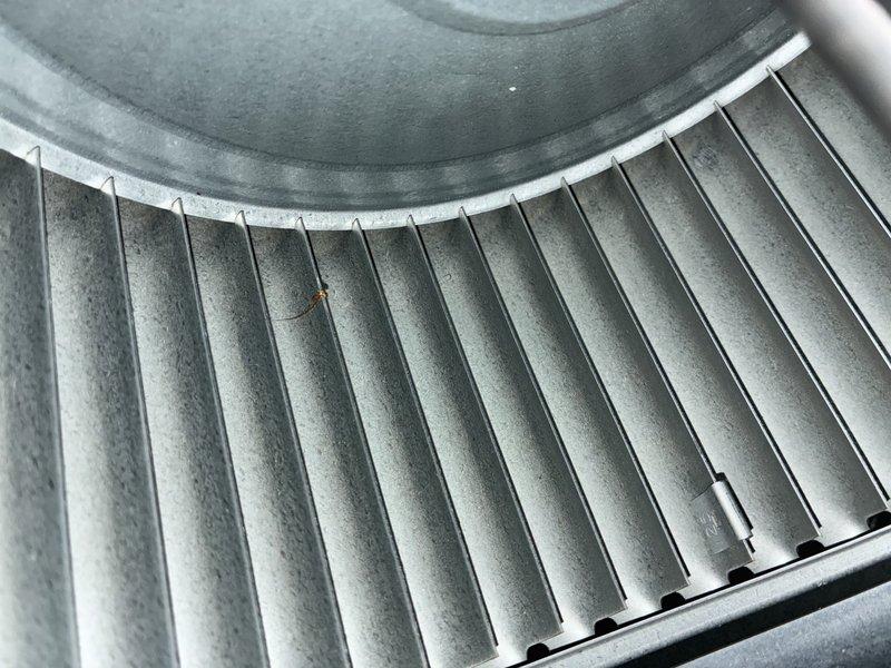 Completed scheduled maintenance visit on a 3-year-old air conditioning system. Inspected and photographed the air filter, which showed clean condition with minimal debris accumulation in the pleated media. Examined the evaporator coil assembly, noting light dust buildup on the vertical fins and cylindrical housing, consistent with normal operation. System operating within normal parameters at time of service.