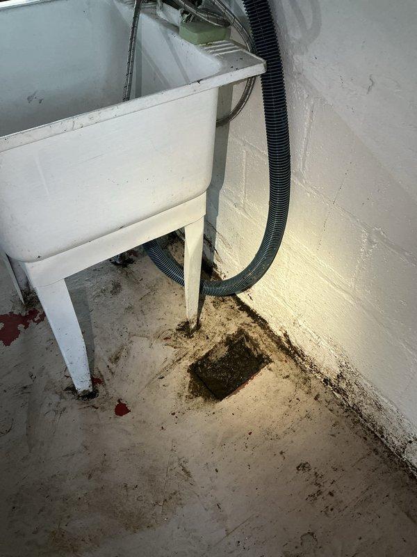Responded to main drain backup in basement. Upon arrival, located exterior cleanout access point on concrete walkway adjacent to building. Inspected circular drain cover and surrounding area, noting significant water staining and discoloration on concrete surface indicating previous overflow conditions. Accessed main sewer line through cleanout, cleared blockage using mechanical cable auger. Verified proper drainage flow and tested system to ensure complete restoration of waste line function. Inspected secondary drain access point near HVAC equipment area, confirmed no additional blockages present. System restored to full operational capacity with no further backup conditions observed.