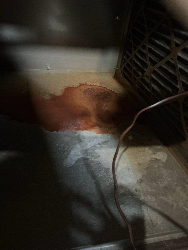 Responded to service call for 9-year-old Bryant central air conditioning system experiencing clicking sounds at outdoor unit, loud motor noise at indoor air handler, and excessive condensation on basement unit casing. Upon inspection, found evaporator coil heavily contaminated with dust and debris buildup, restricting airflow and causing reduced heat transfer efficiency. Indoor blower motor showed signs of wear and strain from restricted airflow conditions. Excessive condensation on unit exterior indicated coil operating below normal temperatures due to airflow restriction and possible refrigerant issue.

Performed thorough system diagnostics including electrical connections, capacitor testing, and refrigerant pressure readings. Cleaned evaporator coil assembly to restore proper airflow through system. Inspected condensate drain line for blockages and verified proper drainage function. Checked outdoor condenser unit for clicking noise source, identifying loose fan blade requiring adjus