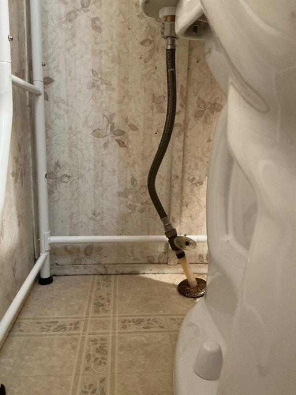 Removed existing toilet from master bathroom and installed new American Standard Cadet Pro extra tall elongated toilet with special open end seat. Replaced wax ring, mounting bolts, and supply line to ensure proper seal and water connection. Completed installation in approximately three hours with all components functioning properly.
