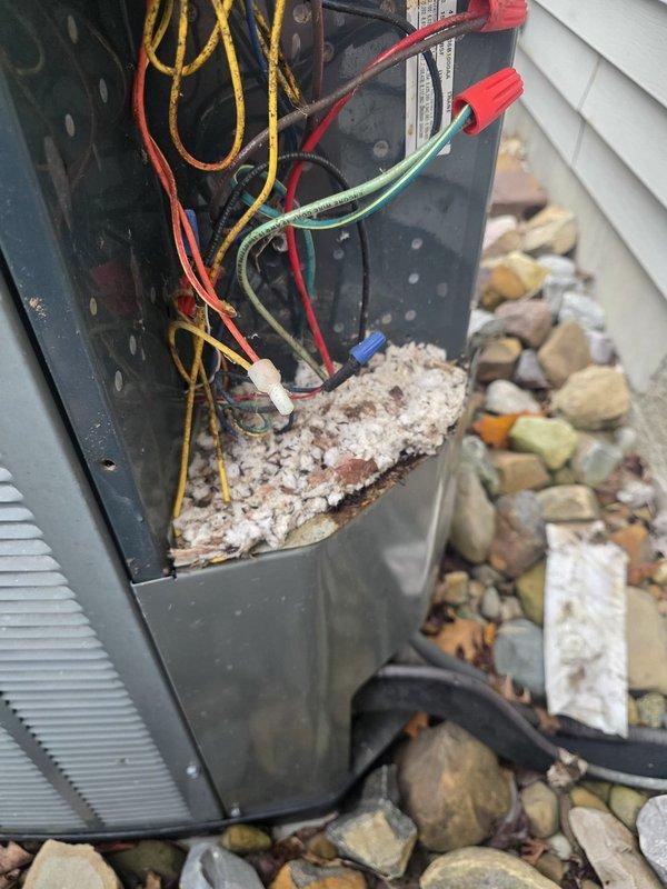 Responded to no cooling call with non-operational outdoor fan. Upon inspection, discovered excessive debris accumulation (sawdust and wood shavings) inside the electrical disconnect box that had compromised proper system operation. Cleaned out all debris from disconnect box, inspected electrical connections and components including contactor and capacitor, verified all wire connections were secure, and restored unit to proper working condition with normal fan operation and cooling capability.