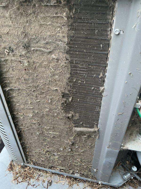 Completed recurring maintenance visit on HVAC system. Inspected blower assembly and found heavy accumulation of dust and debris on fan wheel and blades, restricting airflow efficiency. Examined outdoor condenser unit and documented significant dirt buildup on coil fins and heat exchanger components, with organic debris collected at base of unit. Photographed conditions showing substantial contamination requiring cleaning to restore optimal system performance and prevent reduced cooling capacity.